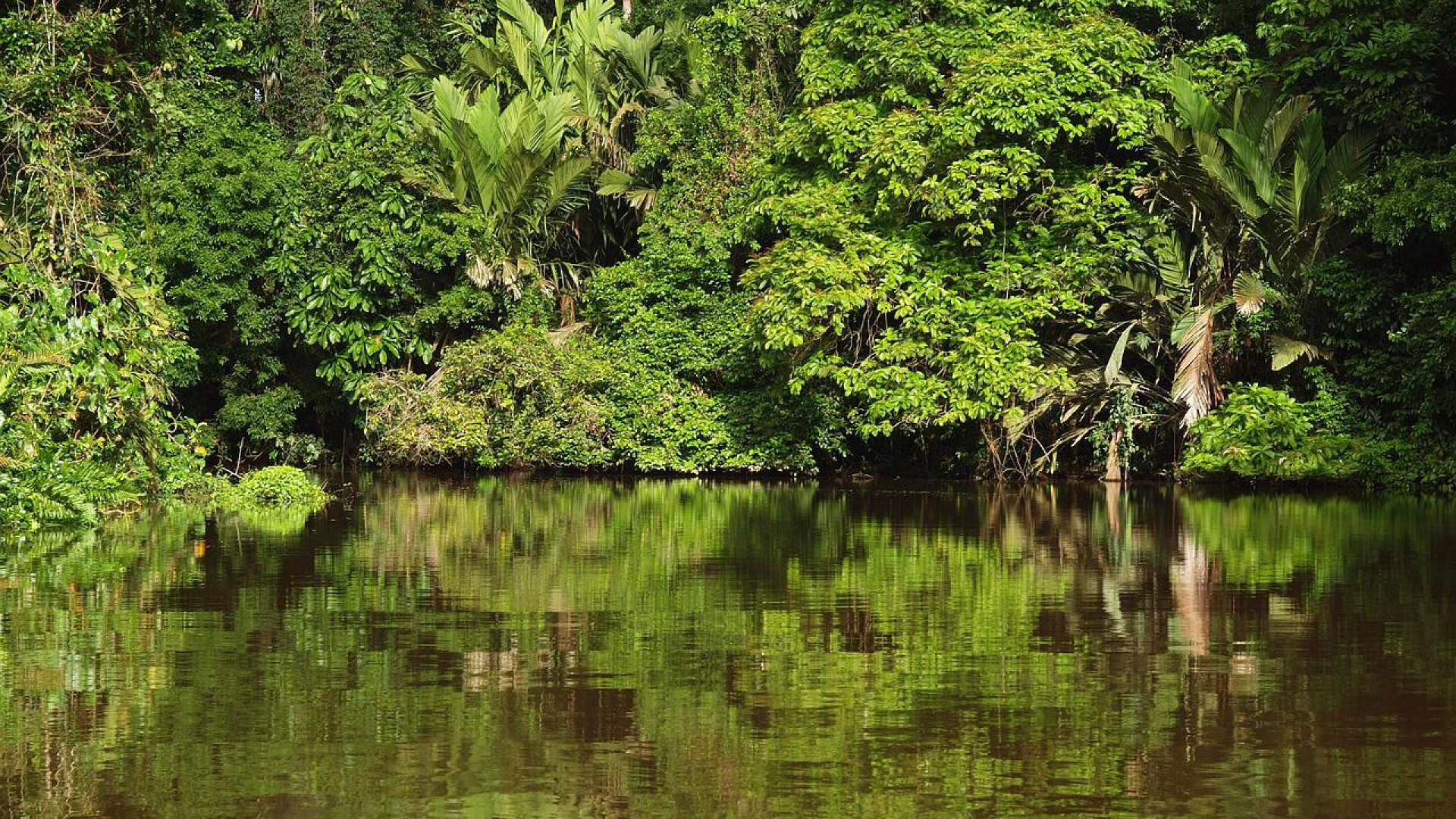 Vacances au Costa Rica : quels itinéraires parcourir ?